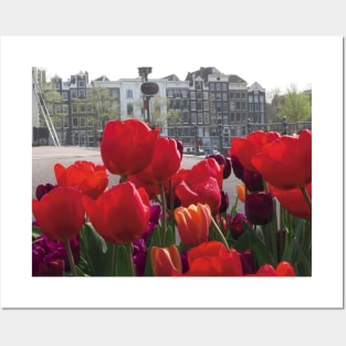 Tulip Flower on Amsterdam city landscape Posters and Art